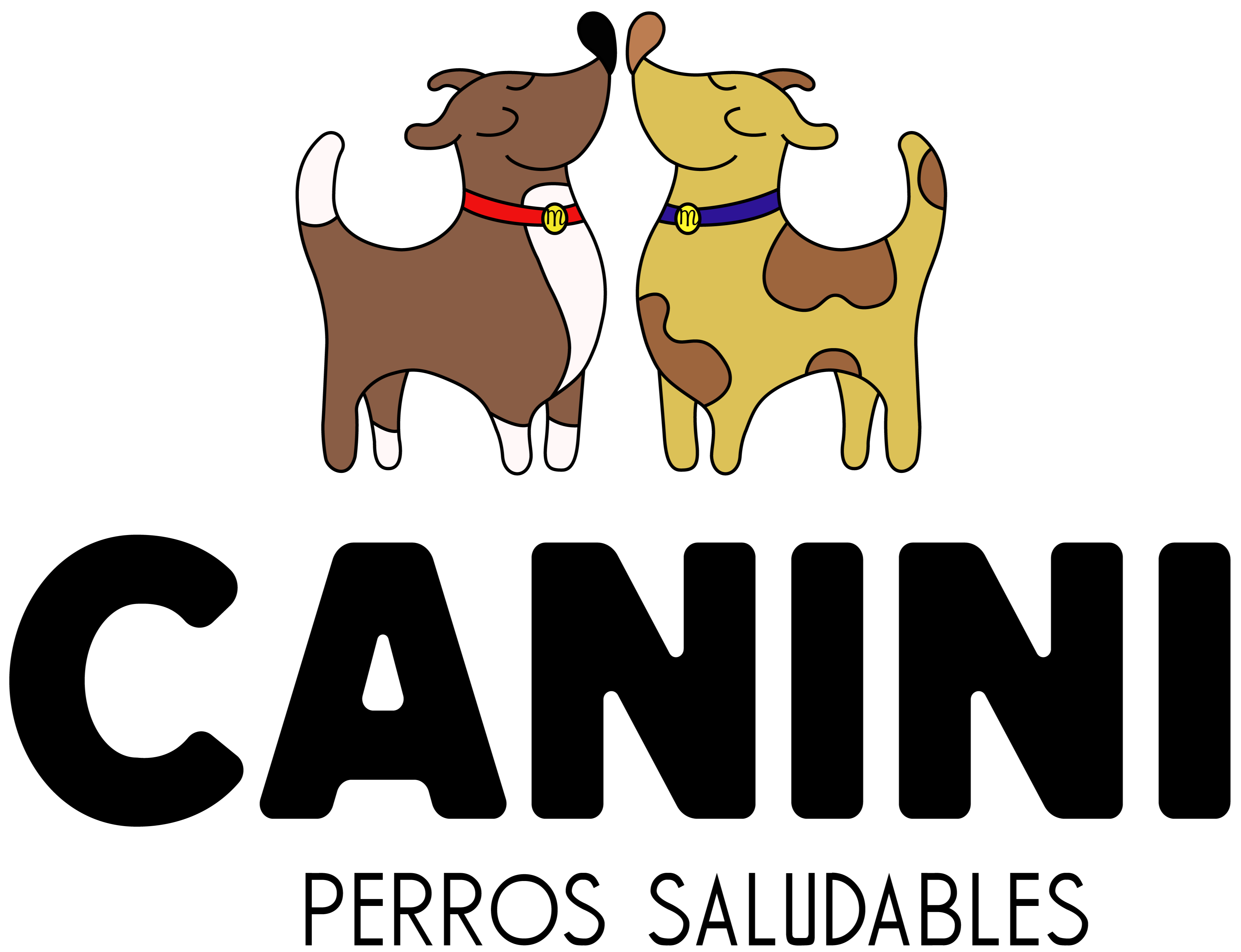 Canini